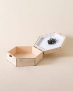 Timeless Bird - Musical Box
